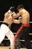 KickboxenWM2009-11-15_eddi_073.jpg